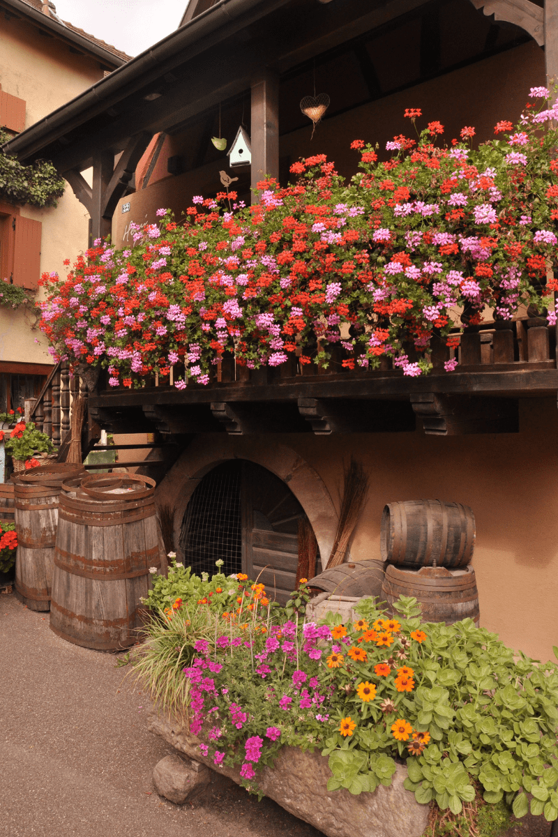 Travel in alsace